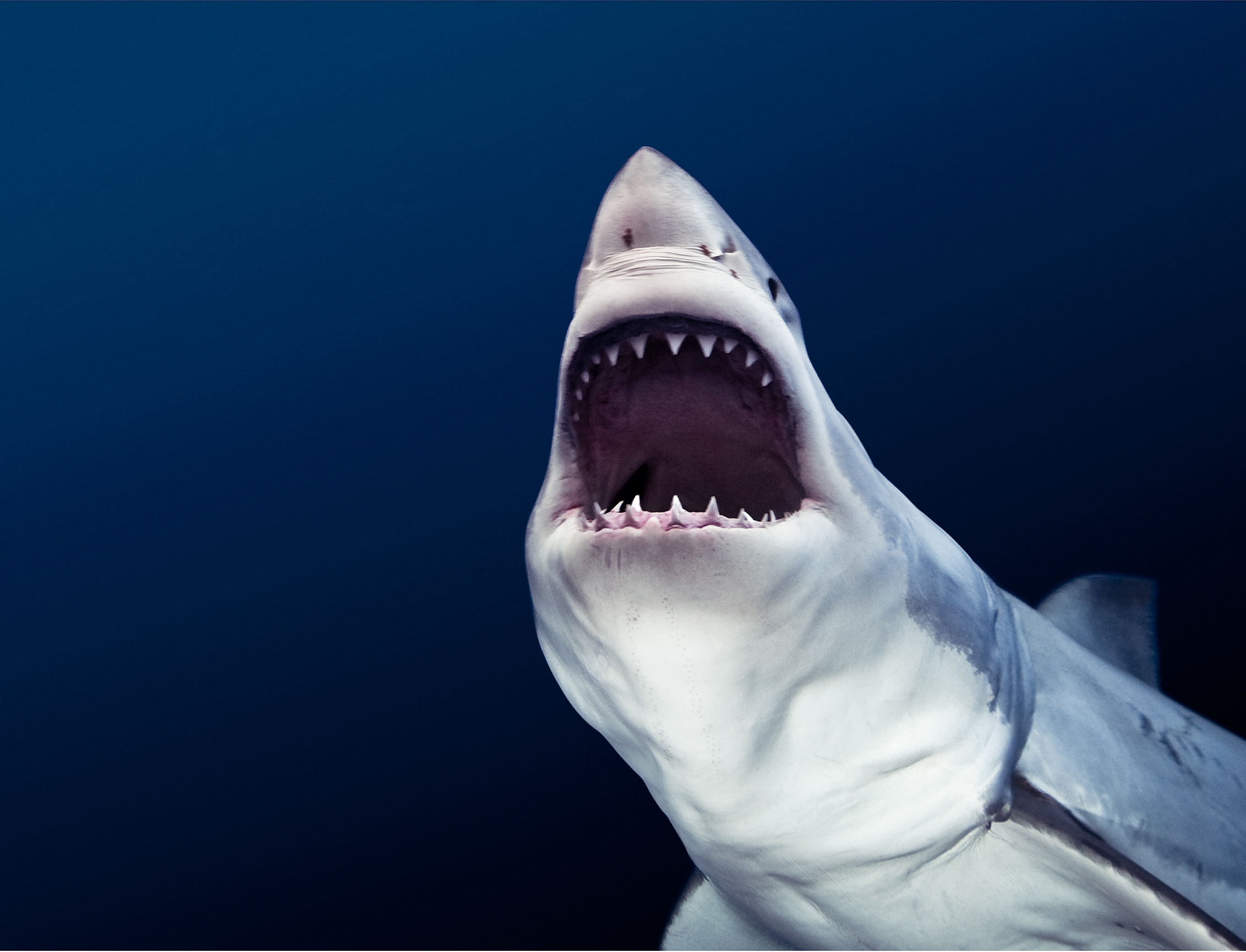 UnterWasser_008_Michael_Muller